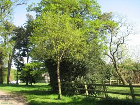 Greenwich Meridian Marker; England; Hertfordshire; Nr Puckeridge